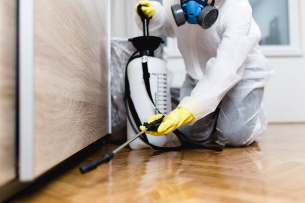 Best Best Pest Control Companies  in Thermal, CA