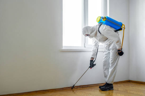 Best Flea Control Services  in Thermal, CA