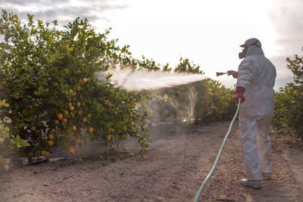 Pest Control for Restaurants in Thermal, CA