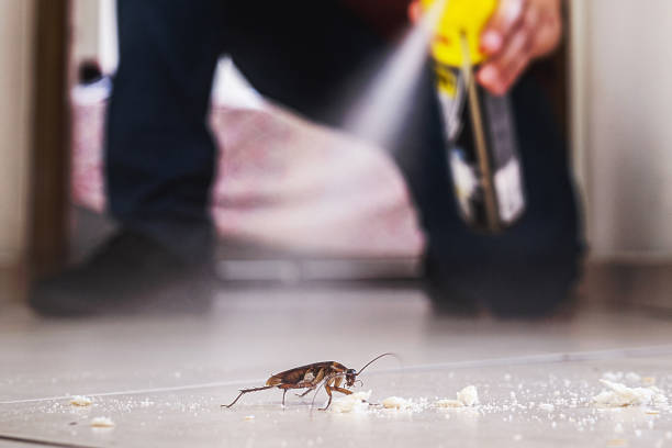 Best Mosquito Control Services  in Thermal, CA