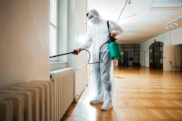 Professional Pest Control in Thermal, CA