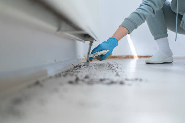 Best Pest Control Near Me in Thermal, CA