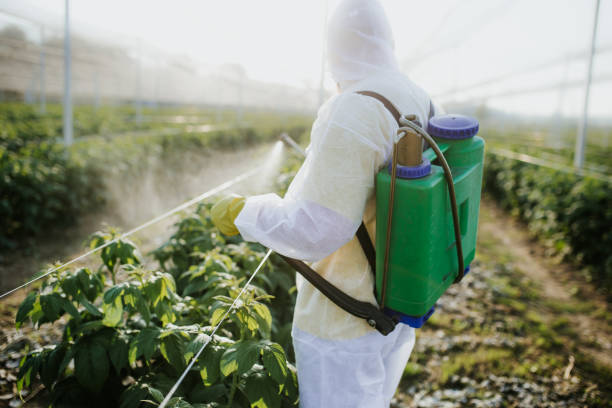 Best Affordable Pest Control Services  in Thermal, CA